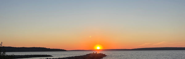 TBA 2025 Spring Newsletter